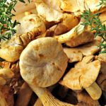 Vorspeisen & Vegetarisches