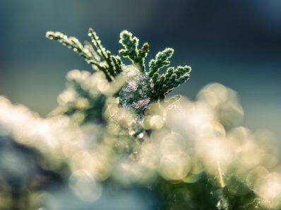 Bild von Pixabay. Lizenz: Kostenlose kommerzielle Nutzung, keine Namensnennung erforderlich.