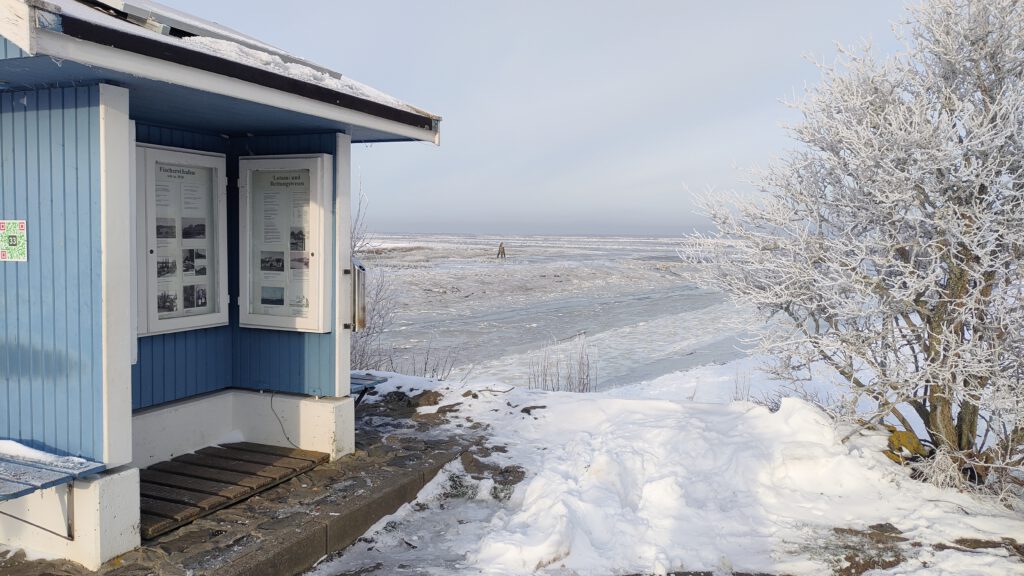 Fedderwardersiel im Winter