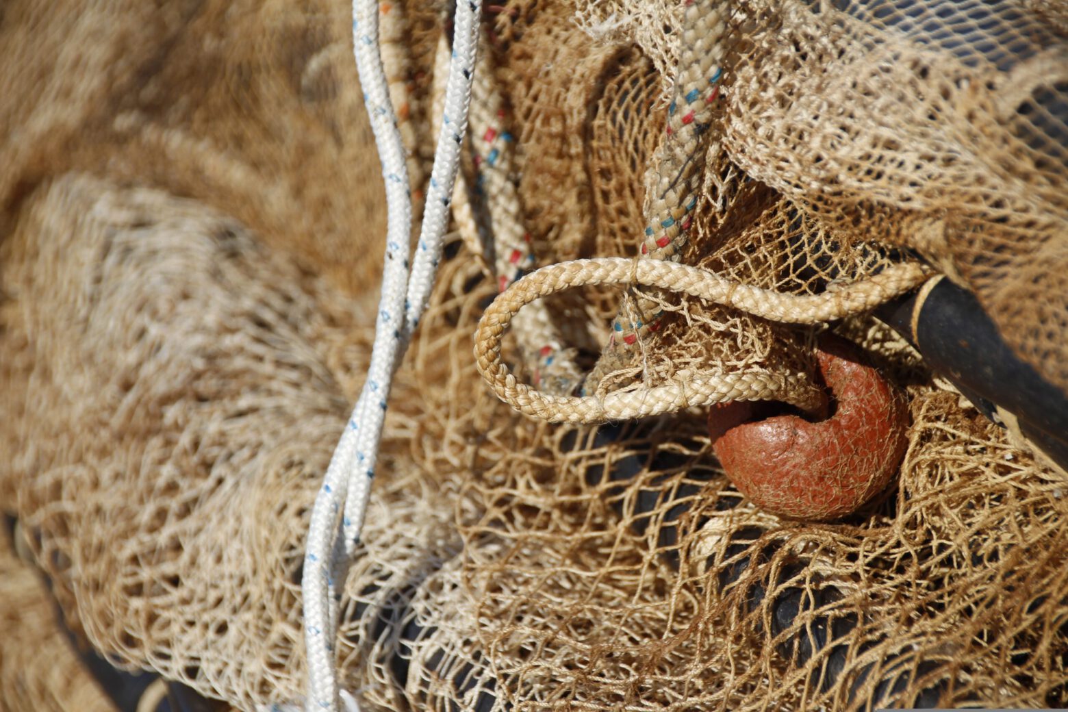 Bild von mipla 71a auf pixabay.comKostenlose Nutzung unter der Pixabay-Inhaltslizenz